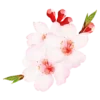 Стикер 8 flowers - цветочки