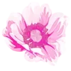 Стикер 14 flowers - цветочки