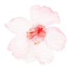 Стикер 9 flowers - цветочки