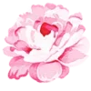 Стикер 13 flowers - цветочки