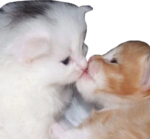 💓 Стикер «Cute_vol.3» для Telegram