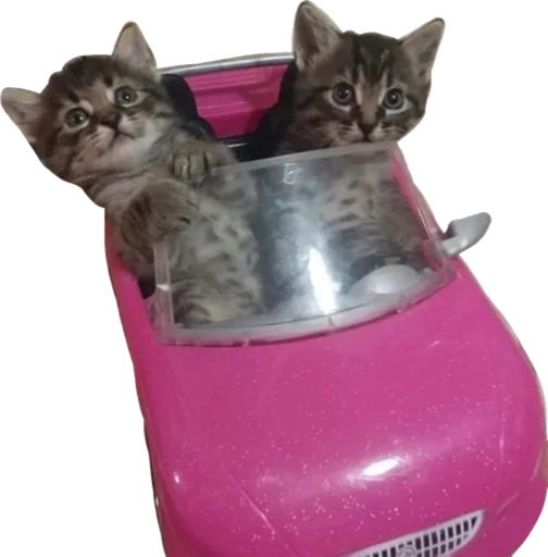 🚗 Стикер «Cute_vol.3» для Telegram