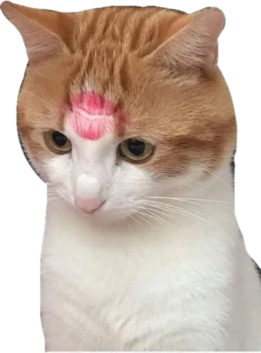 💋 Стикер «Cute_vol.3» для Telegram