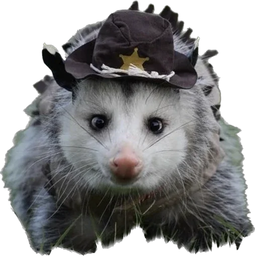 👮‍♂️ Стикер «Cute_vol.3» для Telegram