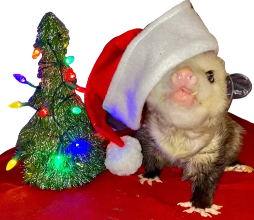 🎄 Стикер «Cute_vol.3» для Telegram