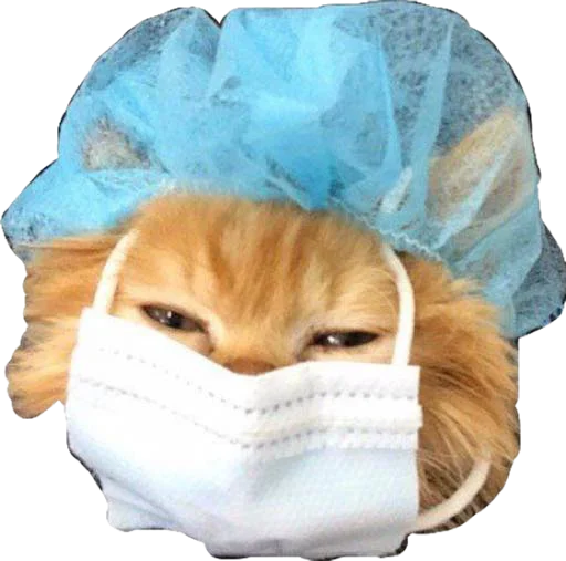 😷 Стикер «Cute_vol.3» для Telegram