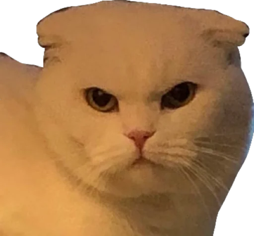 👿 Стикер «Cute_vol.3» для Telegram
