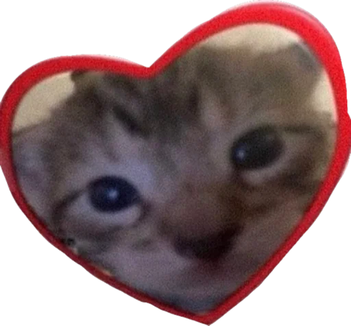 ❤️ Стикер «Cute_vol.3» для Telegram