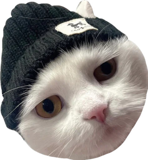 💂‍♀️ Стикер «Cute_vol.3» для Telegram