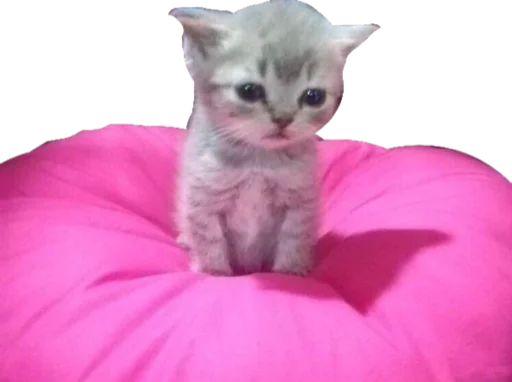 😔 Стикер «Cute_vol.3» для Telegram