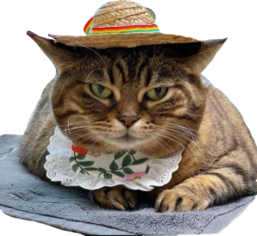 👒 Стикер «Cute_vol.3» для Telegram