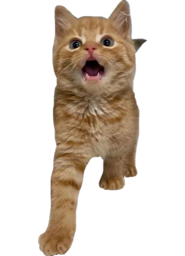 😨 Стикер «Cute_vol.3» для Telegram