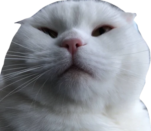 😠 Стикер «Cute_vol.3» для Telegram
