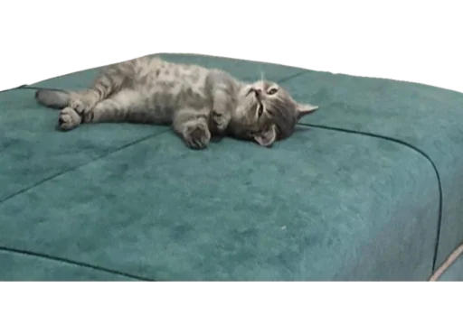😞 Стикер «Cute_vol.3» для Telegram