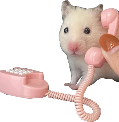 📞 Стикер «Cute_vol.3» для Telegram