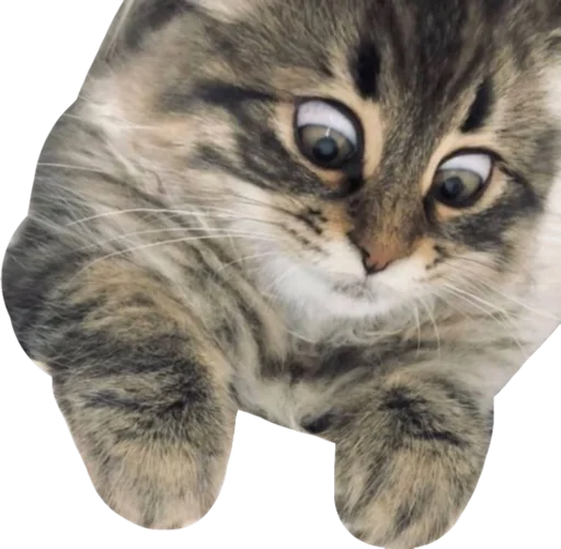 👀 Стикер «Cute_vol.3» для Telegram