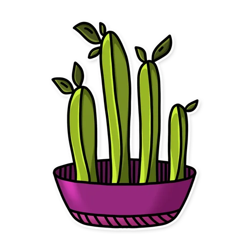 🍃 Стикер «Cactuses» для Telegram