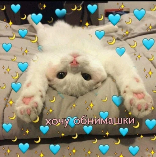 💙 Стикер «🐈‍⬛ ˓𓄹 ࣪˖» для Telegram