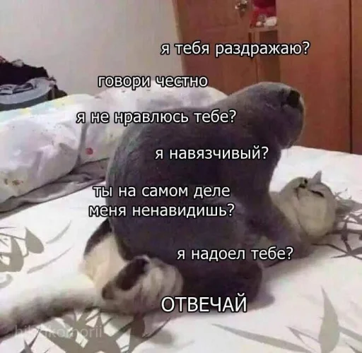 😫 Стикер «🐈‍⬛ ˓𓄹 ࣪˖» для Telegram