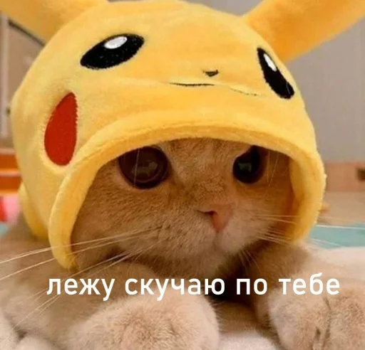🥺 Стикер «🐈‍⬛ ˓𓄹 ࣪˖» для Telegram