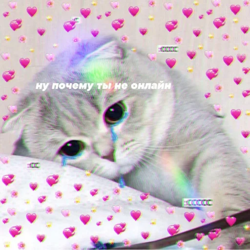 😿 Стикер «🐈‍⬛ ˓𓄹 ࣪˖» для Telegram