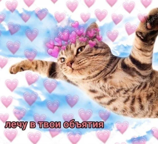 ✈️ Стикер «🐈‍⬛ ˓𓄹 ࣪˖» для Telegram