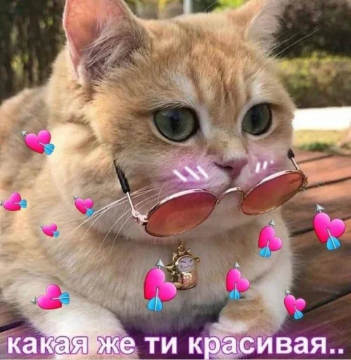 😻 Стикер «🐈‍⬛ ˓𓄹 ࣪˖» для Telegram