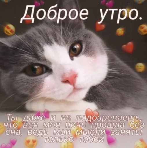 😏 Стикер «🐈‍⬛ ˓𓄹 ࣪˖» для Telegram
