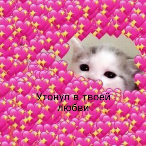 💖 Стикер «🐈‍⬛ ˓𓄹 ࣪˖» для Telegram