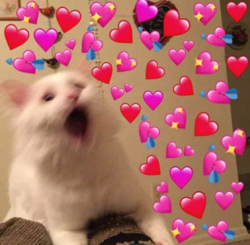 😲 Стикер «🐈‍⬛ ˓𓄹 ࣪˖» для Telegram