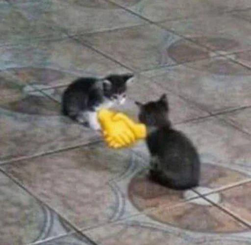 🤝 Стикер «🐈‍⬛ ˓𓄹 ࣪˖» для Telegram