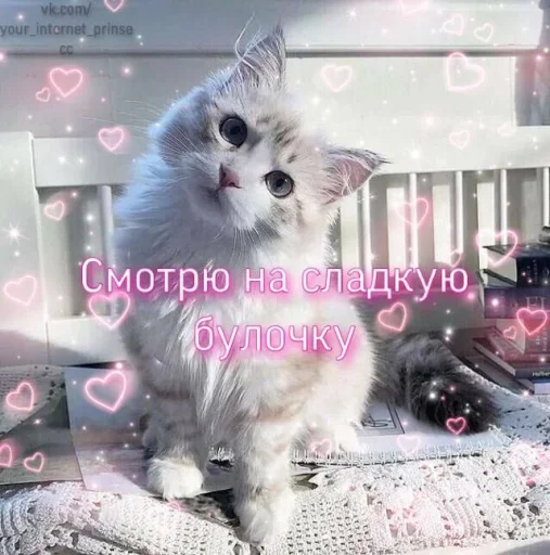 😻 Стикер «🐈‍⬛ ˓𓄹 ࣪˖» для Telegram