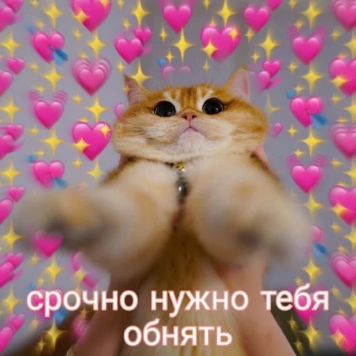 🤗 Стикер «🐈‍⬛ ˓𓄹 ࣪˖» для Telegram