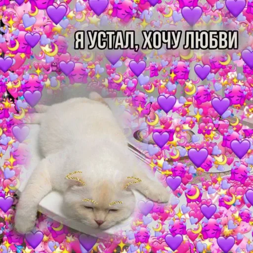 😞 Стикер «Cute cats 100» для Telegram