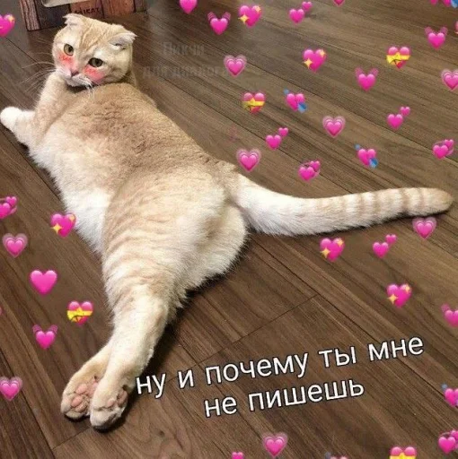 😕 Стикер «Cute cats 100» для Telegram