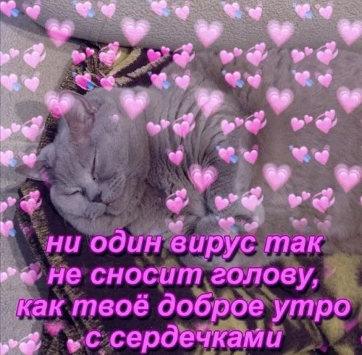 💜 Стикер «Cute cats 100» для Telegram