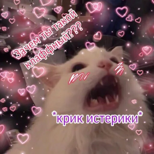 😫 Стикер «Cute cats 100» для Telegram