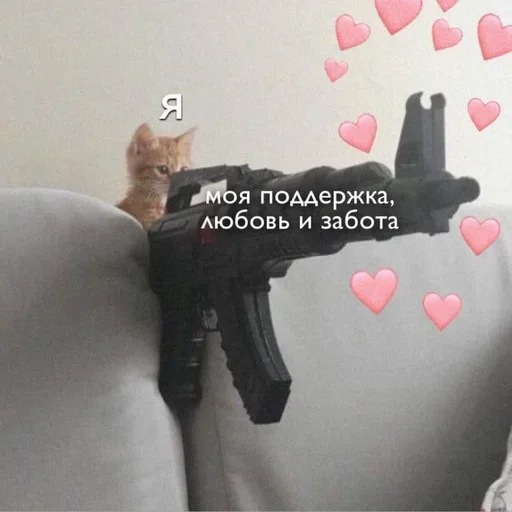 🔫 Стикер «Cute cats 100» для Telegram