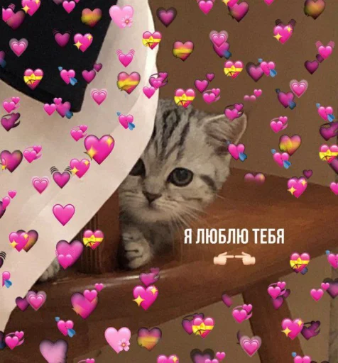 ❤️ Стикер «Cute cats 100» для Telegram