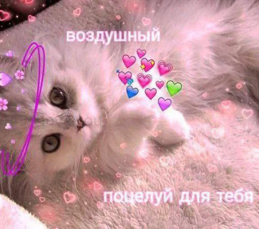 😘 Стикер «Cute cats 100» для Telegram