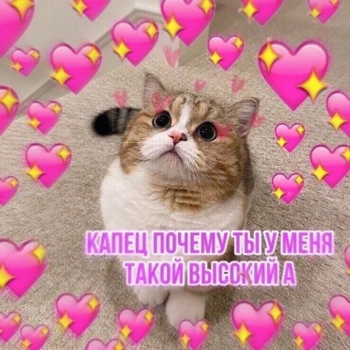 💖 Стикер «Cute cats 100» для Telegram