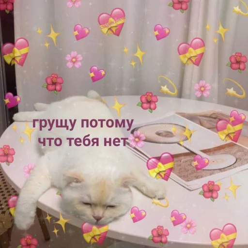 😞 Стикер «Cute cats 100» для Telegram