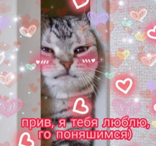 ❤️ Стикер «Cute cats 100» для Telegram