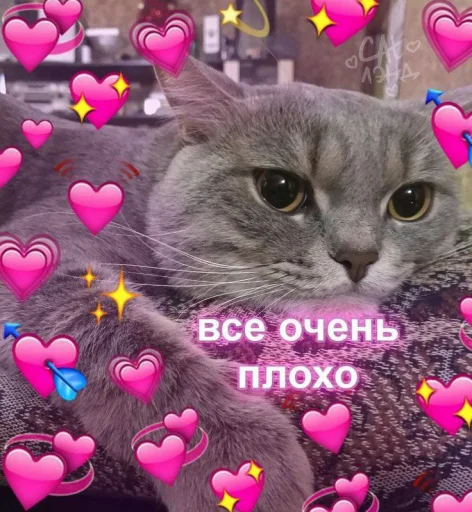 ☹️ Стикер «Cute cats 100» для Telegram