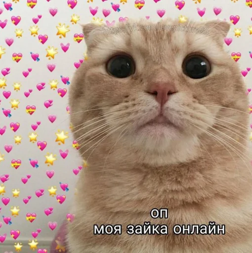 😐 Стикер «Cute cats 100» для Telegram