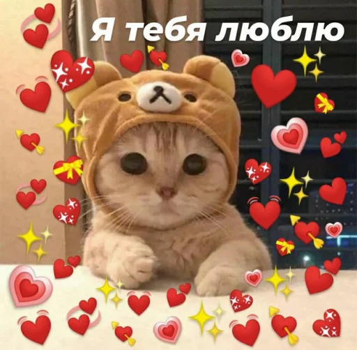 ❤️ Стикер «Cute cats 100» для Telegram