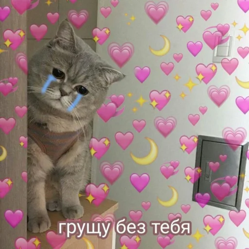 😭 Стикер «Cute cats 100» для Telegram
