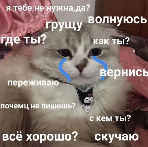 😭 Стикер «Cute cats 100» для Telegram