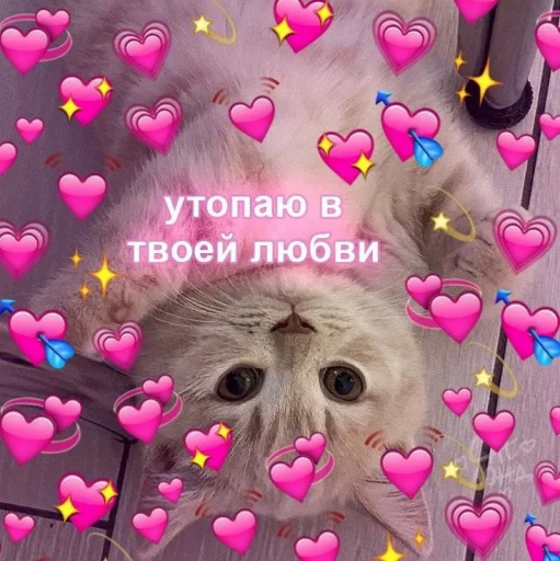 💞 Стикер «Cute cats 100» для Telegram
