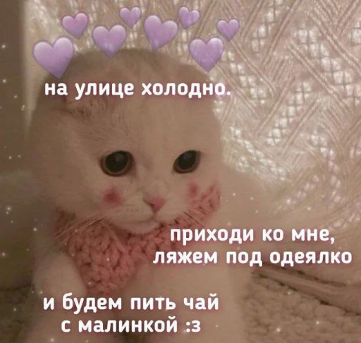 💜 Стикер «Cute cats 100» для Telegram
